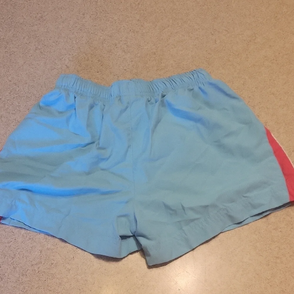 Nike Blue and Pink Athletic Shorts for Performance SIZE 10/12